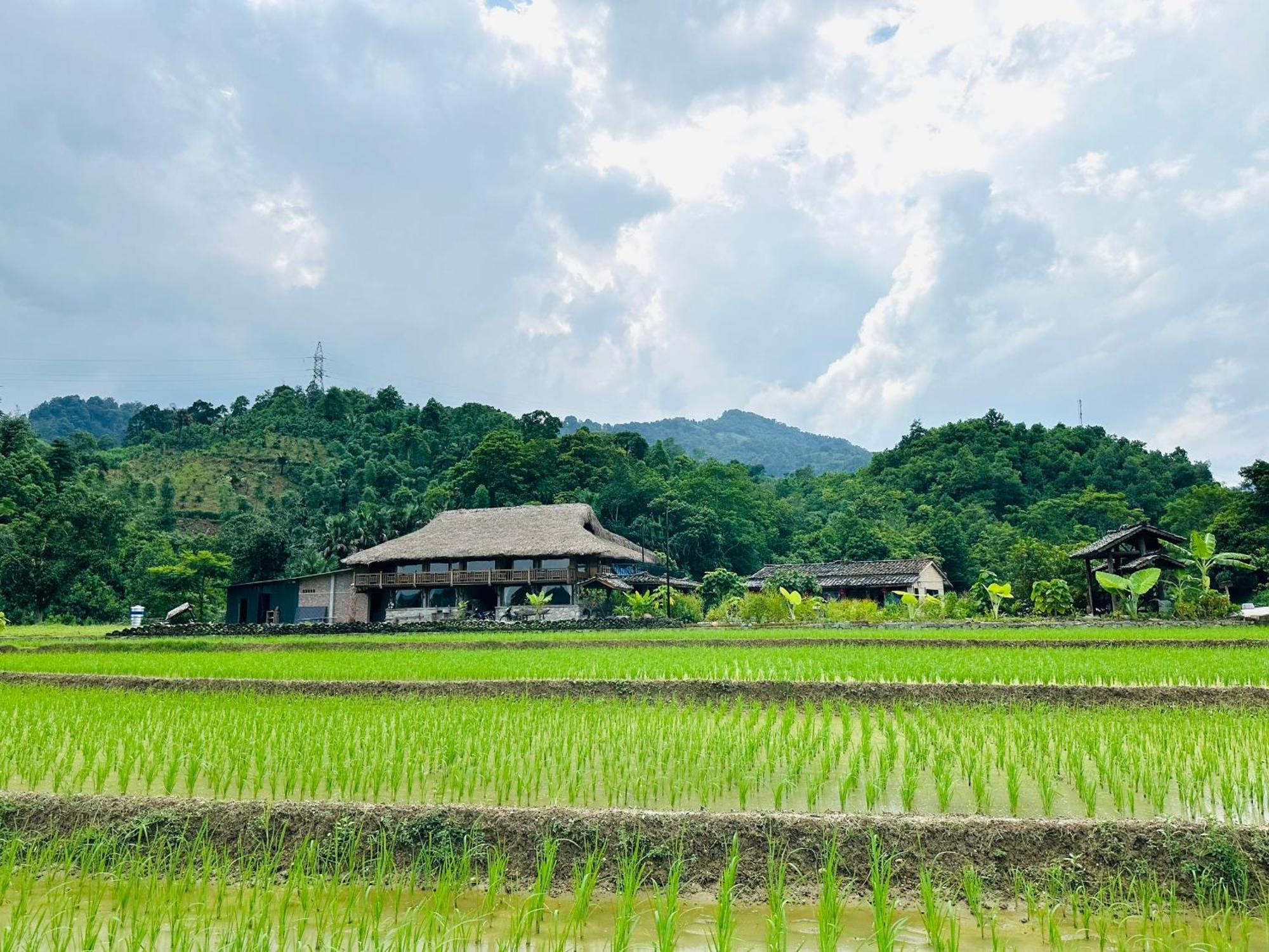 Ban Bang Ecolodge Tours & Motorbike Rental Ha Giang Esterno foto